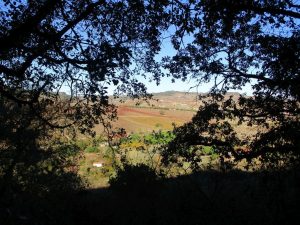 caminhada arruda dos vinhos sabugos moinho do ceu caminhando-12