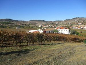 caminhada arruda dos vinhos sabugos moinho do ceu caminhando-9