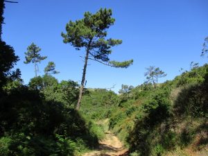 caminhada batalha vimeiro caminhando-18