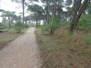 caminhada rota biodiversidade monsanto caminhando 8