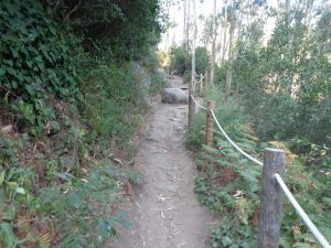 caminhada aldeia mata pequena cheleiros cascatas ancos caminhando-18