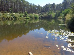 caminhada lagoas serra sintra lagoa azul rio da mula caminhando 13