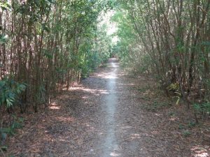 caminhada lagoas serra sintra lagoa azul rio da mula caminhando 17