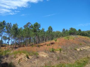 caminhada lagoas serra sintra lagoa azul rio da mula caminhando 8
