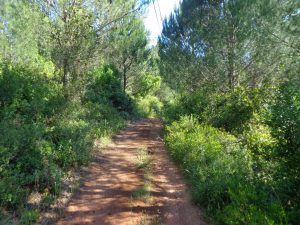 caminhada lagos ota alenquer montejunto caminhando-5