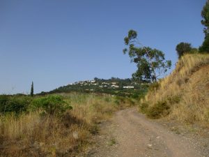 caminhada loures correio-mor montemor caminhando-14