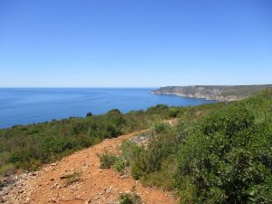 caminhada praia ribeiro do cavalo mijona arrabida sesimbra caminhando-17