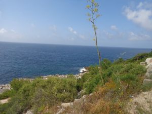 caminhada praia ribeiro do cavalo mijona arrabida sesimbra caminhando-21