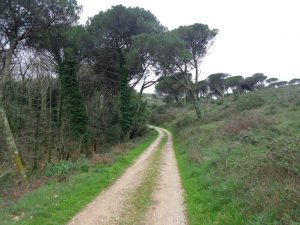 caminhada serra montejunto fabrica do gelo caminhando-14