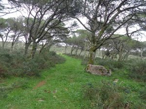 caminhada serra montejunto fabrica do gelo caminhando-26