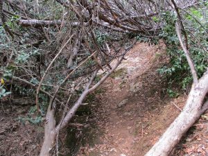 caminhada serra risco arrabida caminhando 14
