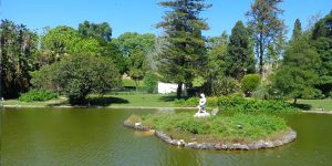visita estufa fria lisboa caminhando-19