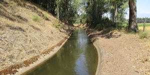 caminhada benavente leziria ribatejo arrozais canais sorraia caminhando-1