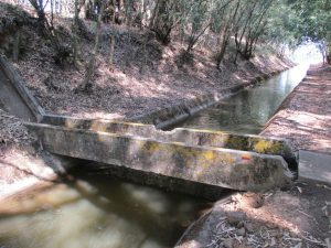 caminhada benavente leziria ribatejo arrozais canais sorraia caminhando-10