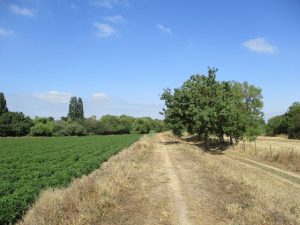 caminhada benavente leziria ribatejo arrozais canais sorraia caminhando-13