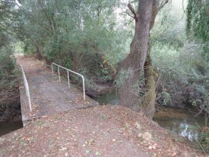 caminhada benavente leziria ribatejo arrozais canais sorraia caminhando-16