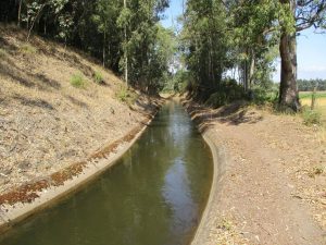 caminhada benavente leziria ribatejo arrozais canais sorraia caminhando-18