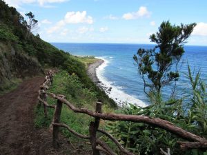 caminhada caminhar acores subida ao pico sao jorge graciosa caminhando-4