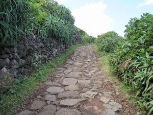 caminhada caminhar acores subida ao pico sao jorge graciosa caminhando-5