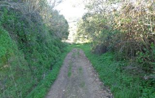 caminhada gradil tapada mafra caminhando.13