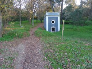 caminhada parques jardins conchas lilases caminhando-10
