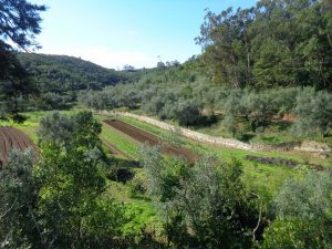 caminhada pisao cascais serra sintra caminhando 15