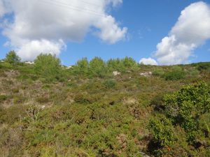 caminhada pisao cascais serra sintra caminhando 6