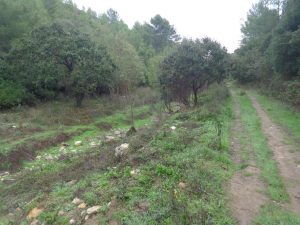 caminhada pisao cascais serra sintra caminhando 8