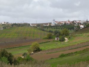 caminhada rota das quintas carmoes caminhando-5