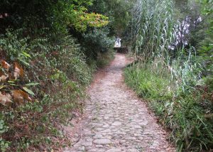 caminhada serra sintra penedo capuchos caminhando-19