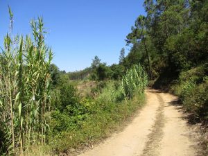 caminhada vale rio cuco sobreiro mafra caminhando 8
