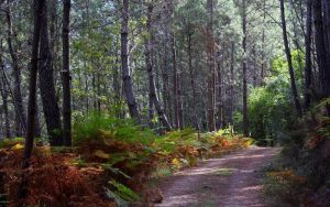 caminhando piodao fraga da pena foz de egua xisto caminhando-2
