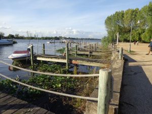 passeio barco escaroupim avieiros caminhando 1
