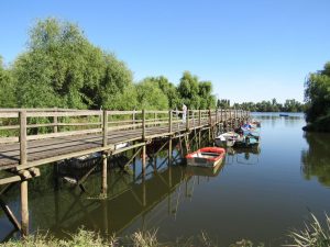 passeio barco escaroupim avieiros caminhando 10