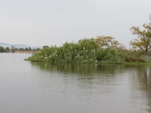 passeio barco escaroupim avieiros caminhando 14