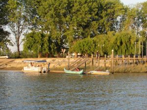 passeio barco escaroupim avieiros caminhando 3