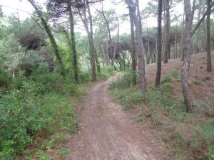 caminhada praia macas magoito sintra caminhando-2