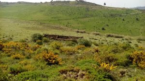 caminhada termas dos cucos azenhas torres vedras caminhando-12