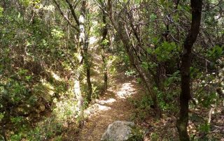caminhada termas dos cucos azenhas torres vedras caminhando-6
