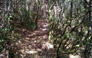 caminhada termas dos cucos azenhas torres vedras caminhando-7