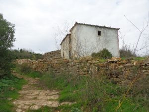 caminhada aldeia broas terrugem caminhando-4