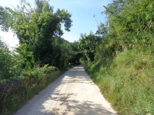 caminhada aldeias oeste merceana galega gavinha caminhando-7