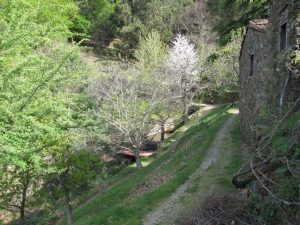 caminhada aldeias xisto lousa caminhando 15