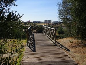 caminhada parques jardins lisboa caminhando-10
