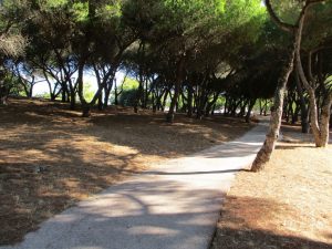 caminhada parques jardins lisboa caminhando-7