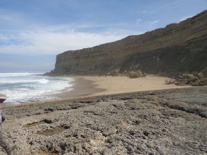 caminhada praia meco sesimbra caminhando-14