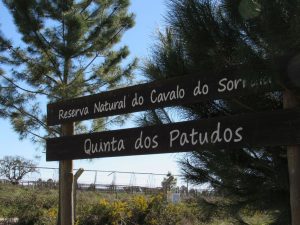 caminhada alpiarca patudos caminhando 9