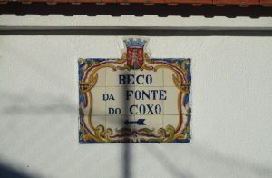 caminhada belas serra carregueira sintra caminhando-4