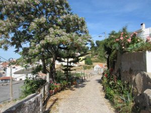 caminhando costa do guincho abano serra sintra cascais caminhando 5