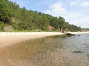 passeio barco praias arrabida setubal caminhando-1